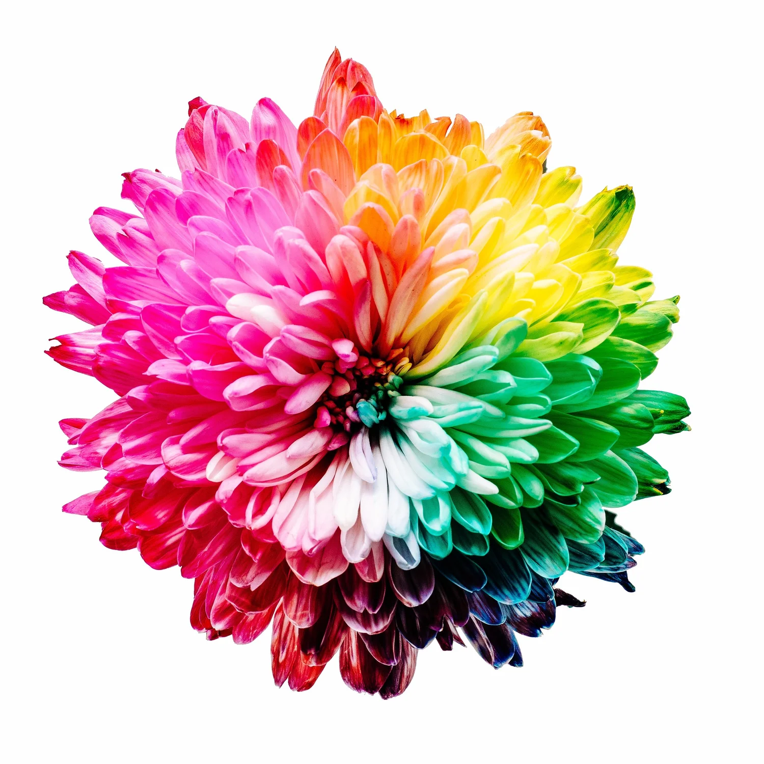 Sharing Our Coming Out Stories